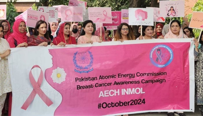 Students and faculty members of Punjab University in walk on ‘Breast Cancer Awareness’  on October 31,2024. — Facebook@UniversityOfThePunjab.Official