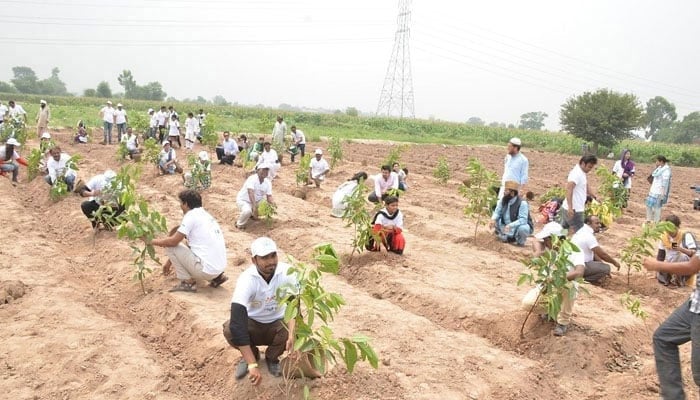 A representational image showing people taking part in a plantation drive. — UNAP website/File