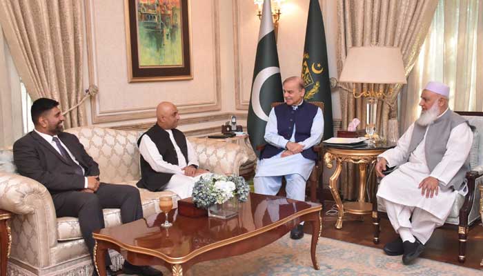 PM Shehbaz Sharif pictured during a meeting with a business delegation from the United Kingdom (UK) in Islamabad on November 3, 2024. — PID