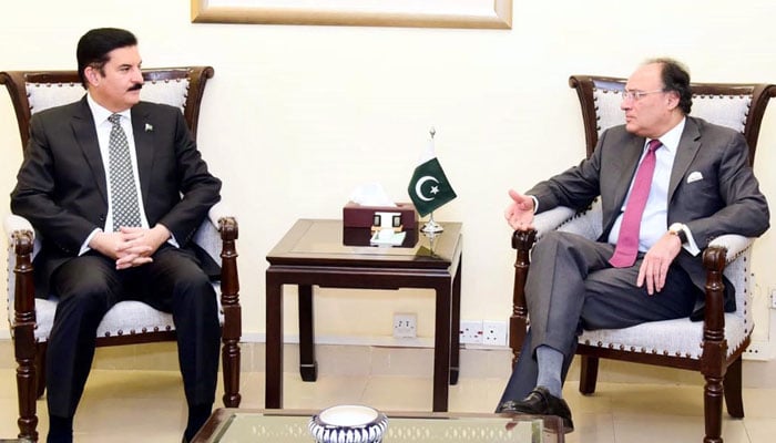 KP Governor Faisal Karim Kundi (left) exchanges views with Finance Minister Muhammad Aurangzeb at the Finance Division on November 4, 2024. — APP