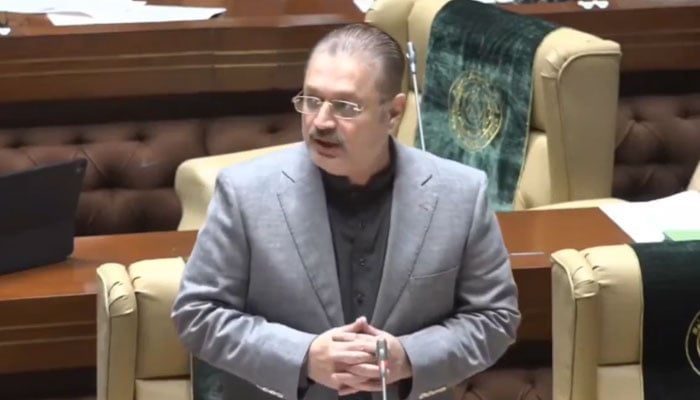 Sindh Senior Minister for Information, Transport, and Excise, Taxation & Narcotics Control Sharjeel Inam Memon speaks in Sindh Assembly session on November 4, 2024. — Screengrab via Facebook@SharjeelInamMemon63