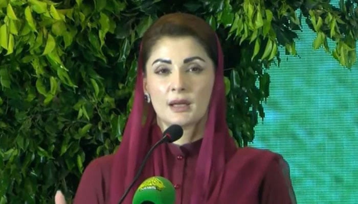 Punjab Chief Minister Maryam Nawaz addresses inaugural ceremony of “CM Climate Leadership Development Internship programme” on October 9, 2024. — Geo News/YouTube/screengrab