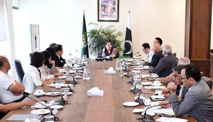 Coordinator to Prime Minister on Climate Change Romina Khurshid Alam chairs a meeting with a high-level six member delegation of Sino-International Entrepreneurs Federation (SIEF) on November 5, 2024. — APP