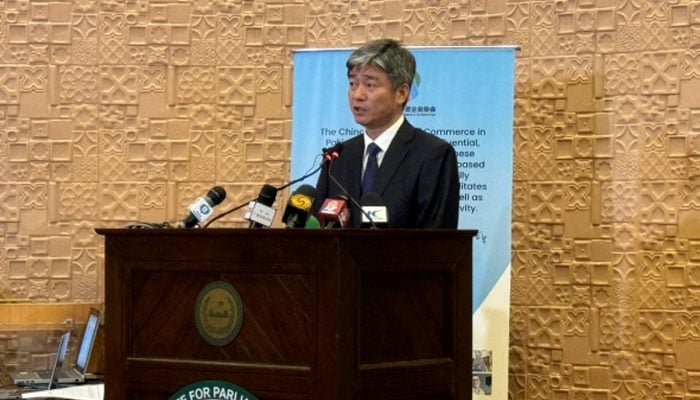 Wang Huihui, Chairman of the China Chamber of Commerce and Industry in Pakistan (CCCPK) speaking at an event. — State media/file