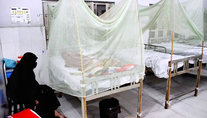 Dengue patient under medical treatment in a ward at a Hospital on October 24, 2024. — APP