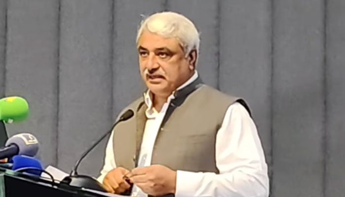 Provincial Health Minister Khawaja Salman Rafique speaks in the symposium on World Stroke Day at the Punjab Institute of Neurosciences on November 6, 2024. — Screengrab via Facebook@SalmanRafiquePK