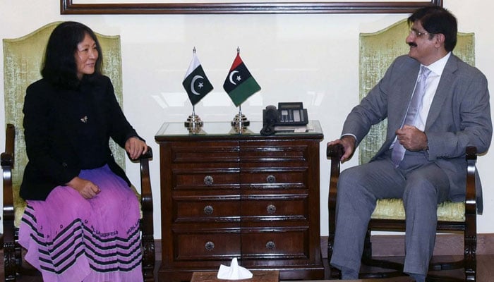 Sindh Chief Minister, Syed Murad Ali Shah (right) exchange views with Country Director of Asian Development Bank, Emma Fan during a meeting at CM House in Karachi on November 6, 2024. — PPI