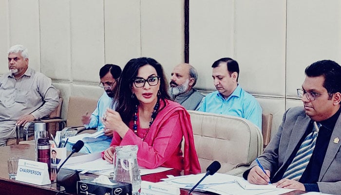 The Chairperson of the Senate Committee on Climate Change Senator Sherry Rehman, presides over the meeting at Parliament House on November 6, 2024. — Facebook@Pakistansenate