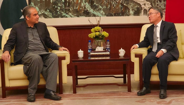 Interior Minister Mohsin Naqvi seen in a meeting with  Chinese Ambassador Jiang Zaidong on Nov 7, 2024. — PID