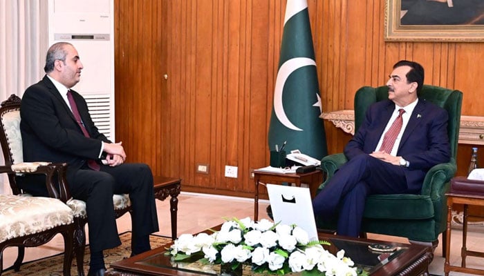 Acting President Yousuf Raza Gillani (right) exchange views with Qatar Ambassador Ali Mubarak Ali Essa Al-Khater at Aiwan-e-Sadr on November 7, 2024. — APP