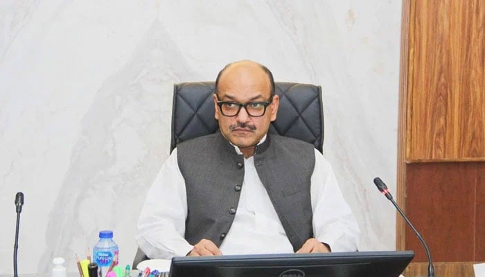 Planning and Development (P&D) Board Chairman Barrister Nabeel Ahmad Awan presides over a meeting on July 22, 2024. — Facebook@PnDBPb