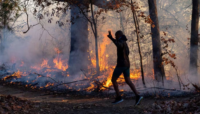 A morning jogger gestures as he runs past a fire lit by members of the New Jersey Forest Fire Service as part of back burning efforts alongside Palisades Interstate Parkway in Englewood Cliffs, New Jersey, US, November 8, 2024. — Reuters