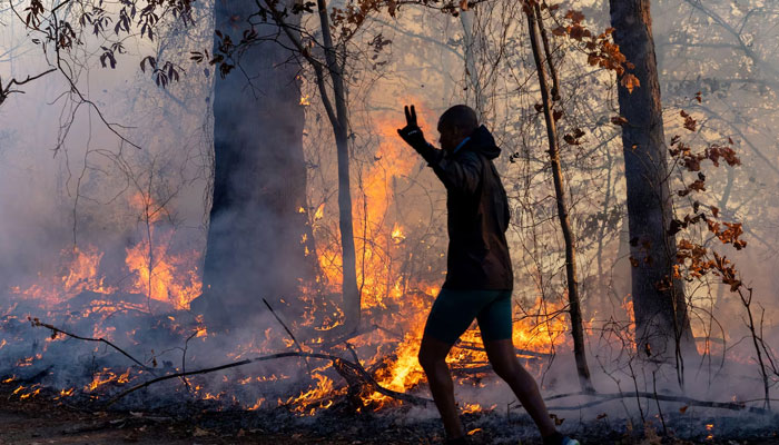 A morning jogger gestures as he runs past a fire lit by members of the New Jersey Forest Fire Service as part of back burning efforts alongside Palisades Interstate Parkway in Englewood Cliffs, New Jersey, US on  November 8, 2024. — Reuters