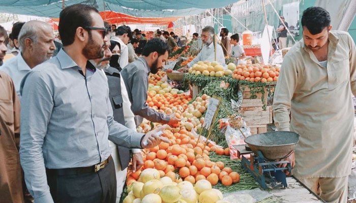 Price Control and Commodities Management Department official enquiring a fruit stall holder. — Facebook@ChairmanPriceControlCommitteeLahoreRegion/File