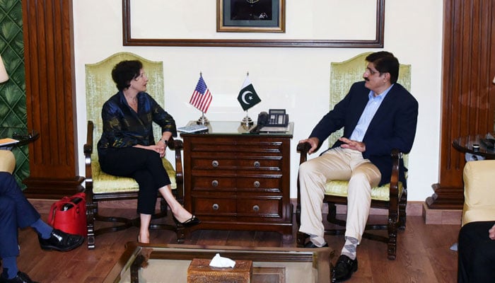 Sindh Chief Minister Syed Murad Ali Shah (right) exchanges views with Elizabeth Horst, principal deputy assistant secretary and deputy assistant secretary for Pakistan, US Department of State during a meeting at CM House on November 13, 2024. — Facebook@SindhCMHouse