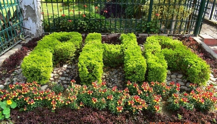 Parks and Horticulture Authority can be seen written in acronyms shaped with the help of trimming the plants in this picture released on August 14, 2023. — Facebook@pharwp