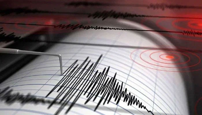 A representational image showing a Richter scale reading. — AFP/File