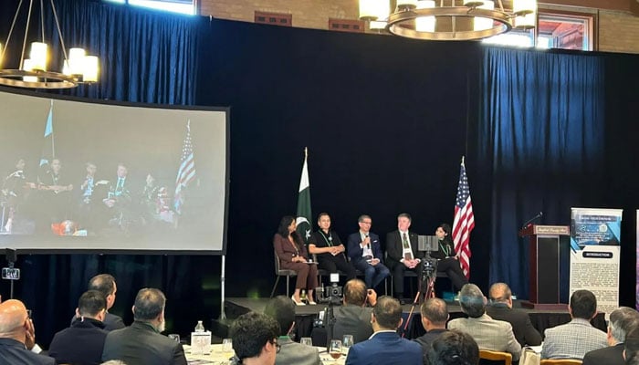 Participant speaks at the Pakistan-US Tech Investment conference on November 11, 2024. — Facebook@tdapofficial