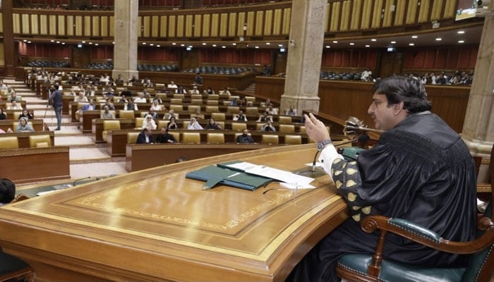 Punjab Assembly Speaker Malik Muhammad Ahmad Khan presides over a assembly session in this image on June 26, 2024. — Facebook@MalikMuhammadAhmadKhan