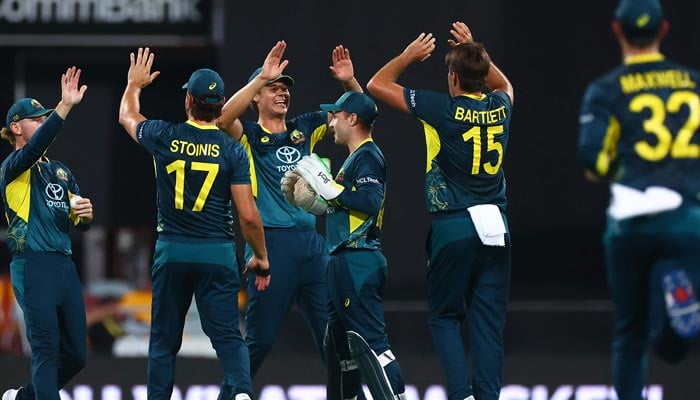 Australia players celebrate during the first Twenty20 international cricket match against Pakistan at The Gabba in Brisbane on November 14, 2024. — AFP