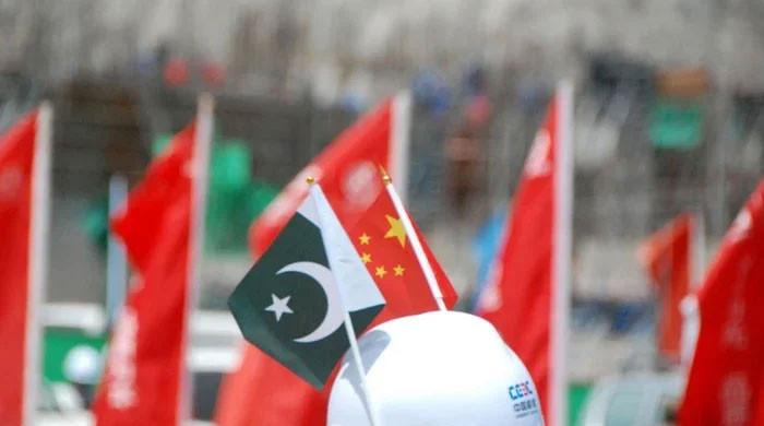 Pakistan capable of providing full security to Chinese nationals