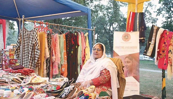 A representational image of woman entrepreneur Rehana Kausar.— APP/File