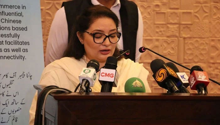 An undated image shows PMs Coordinator for Climate Change and Environmental Coordination Romina Khurshid Alam speaking at an event. — X/@SDPIPakistan/File