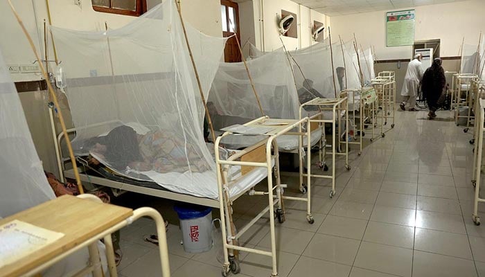 Dengue patients can be seen admitted in a Dengue Ward at Benazir Bhutto Hospital in Rawalpindi on October 4, 2024 in this photo. — APP