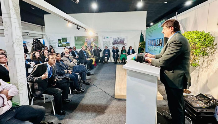 Sindh Chief Minister Syed Murad Ali Shah speaking at COP-29 on Nature’s Carbon Solution at BAKU, Azerbaijan on November 17, 2024. — Facebook@SindhCMHouse