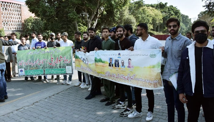 Students hold banners to participate in the wheat campaign at the University of Agriculture Faisalabad on November 18, 2024. — Facebook@UniversityOfAgricultureFaisalabadPakistan