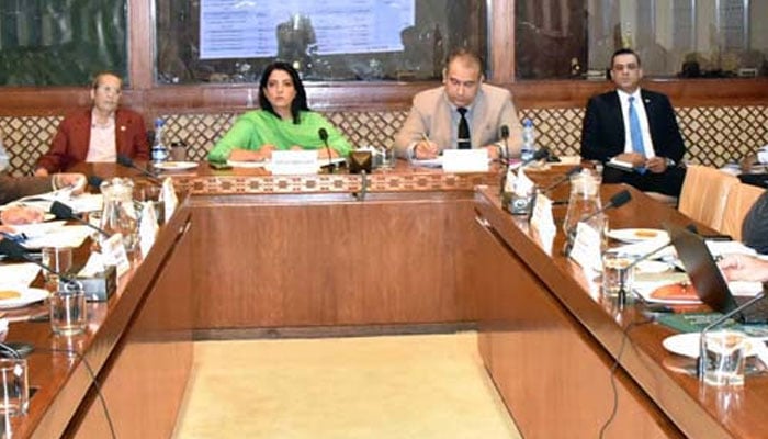 Senator Palwasha Mohammad Zai Khan, Chairperson Senate Standing Committee on Information Technology and Telecommunication presides over a meeting of the Committee at Parliament House in Islamabad. — APP/file