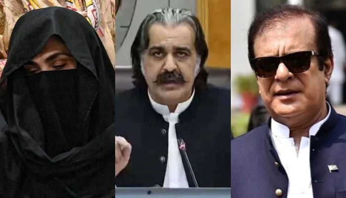 This collage of images shows, the wife of the party founder Imran Khan, Bushra Bibi (left), KP Chief Minister Ali Amin Gandapur (centre) and Senior PTI leader Senator Shibli Faraz (right). — AFP/Facebook@Ali Amin Khan Gandapur/@Senator Shibli Faraz/file