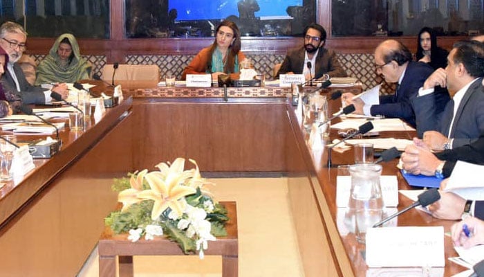 Chairperson of Senate Standing Committee on Federal Education and Professional Training Bushra Anjum Butt presides over a meeting of the committee at the Parliament House on November 19, 2024. — Facebook@Pakistansenate