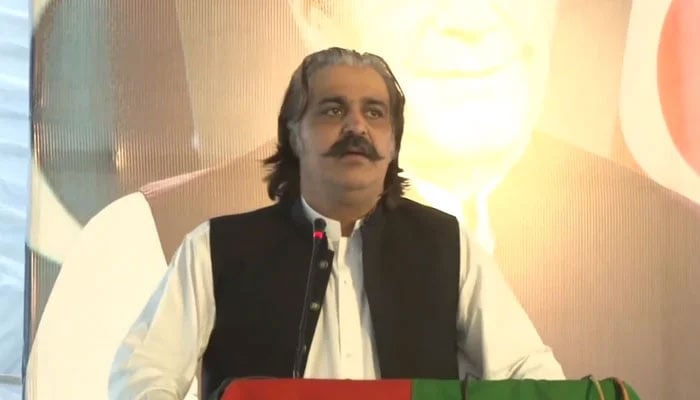 In this image Pakistan Tehreek-e-Insaf (PTI) leader and Khyber Pakhtunkhwa Chief Minister Ali Amin Gandapur Speaks on the 28th foundation day of PTI on April 25, 2024. — Facebook@AliAminKhanGandapur