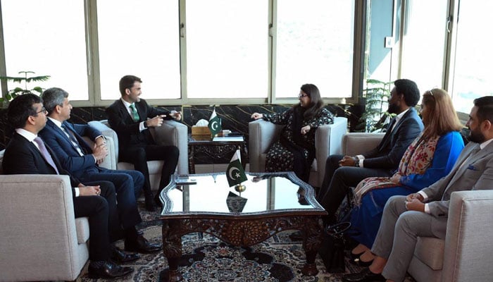 Minister of State for Information Technology and Telecommunications Shaza Fatima Khawaja  in a meeting with a TikTok delegation on November 20, 2024. — APP