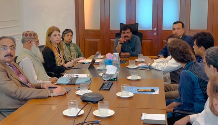 Sindh Minister for Education and Mineral Development Syed Sardar Ali Shah chairs a meeting to review early childhood education (ECE) policy on November 20, 2024. — Facebook@sardarshah.offical