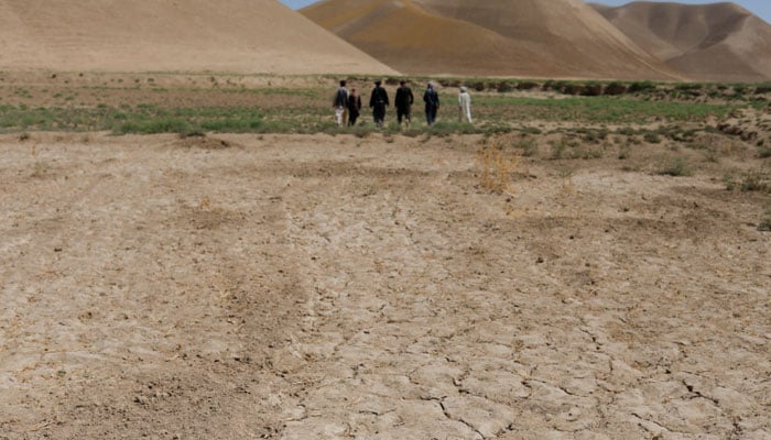 A parched field is pictured in Balkh province, Afghanistan on August 4, 2023. — Reuters