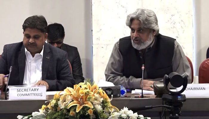 Chairman of National Assembly Standing Committee on Human Rights Sahibzada Muhammad Hamid Raza (right) presides over a meeting at Parliament House Islamabad on November 20, 2024. — Facebook@NationalAssemblyOfPakistan