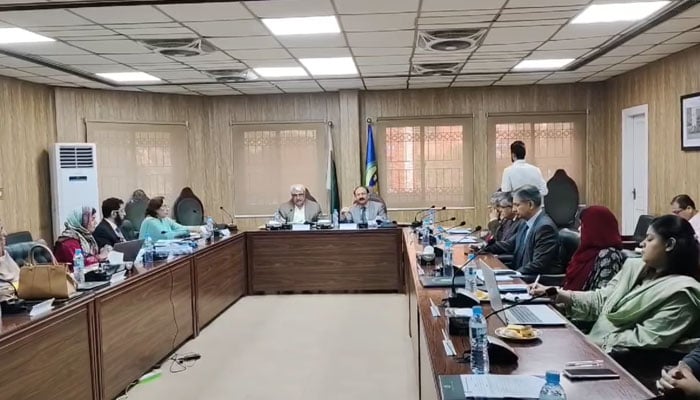 Punjab Health Minister Khawaja Salman Rafique chairs the 12th Syndicate meeting of the University of Child Health Sciences on November 21, 2024. — Screengrab via Facebook@SalmanRafiquePK