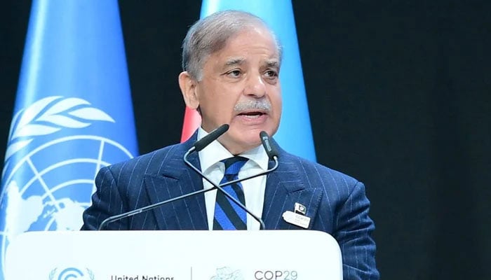 Prime Minister Shehbaz Sharif addresses the COP29 Climate Action Summit in Baku, Azerbaijan on November 13, 2024. — PID