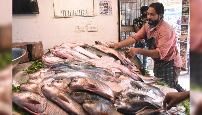 A vendor arranging fish to attract customers at his setup in Lahore on November 22, 2024. — APP