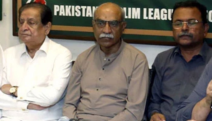 GDA Secretary General Dr Safdar Abbasi along with others sits at a press conference, at Functional House in Karachi on September 10, 2024. — PPI