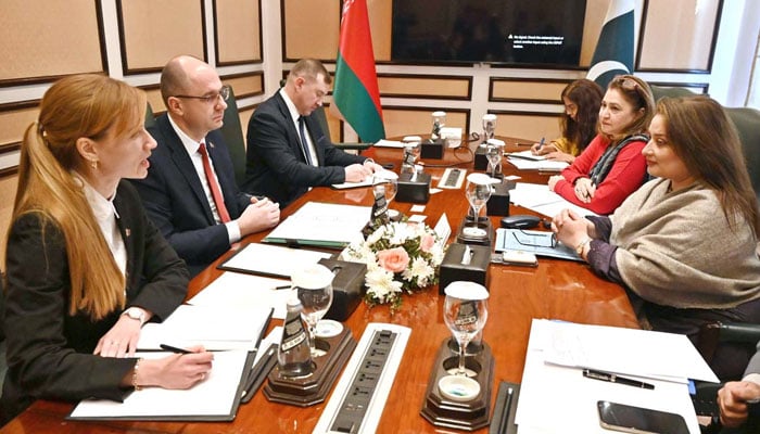 PMs Coordinator on Climate Change, Romina Khurshid Alam in a meeting with Belarusian Minister for natural resources and environmental protection, Sergey Maslyak on November 25, 2024. — APP