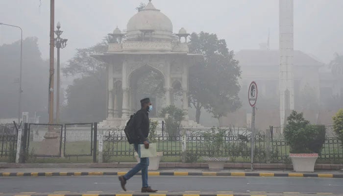 A man wears a facemask on the way along a road engulfed in smog on November 14, 2024. — Online