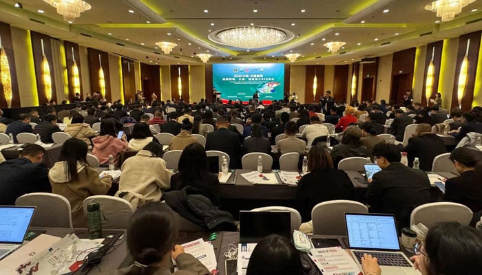 View of a China-Pakistan B2B Conference focusing on animal feed, fruit and vegetable processing industries hosted by the Embassy of Pakistan in China on November 26, 2024. — Facebook@PakinChina.Official