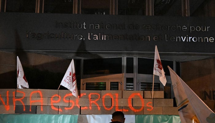 Protesters erected a brick wall in front of Frances agricultural research institute. — AFP/File