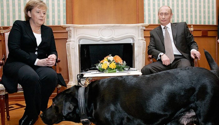 Angela Merkel shies away from Putin’s labrador during their meeting in Sochi in 2007. — AFP/File