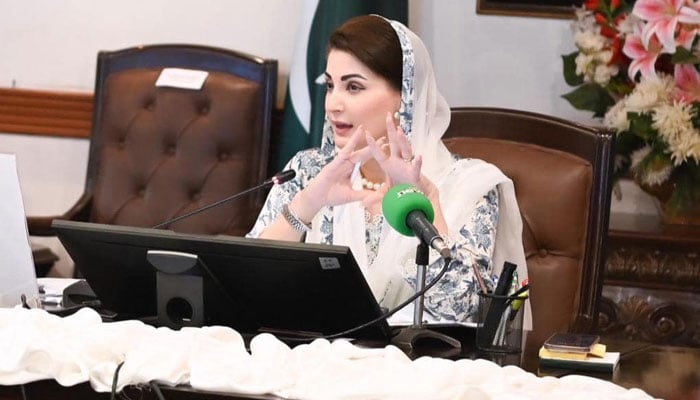 Punjab Chief Minister Maryam Nawaz briefing media. — Facebook@TheMaryamNSharif/File