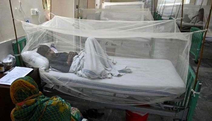 A patient rests on a hospital bed covered with a net for protection from virus-carrying mosquitos. — AFP/File