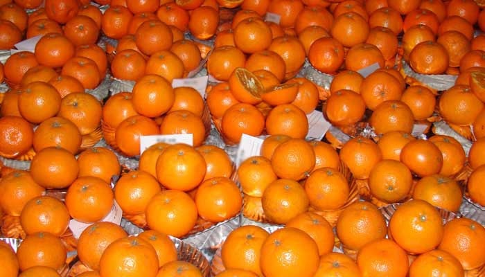 Kinnow fruit arranged at a shop. — APP/File